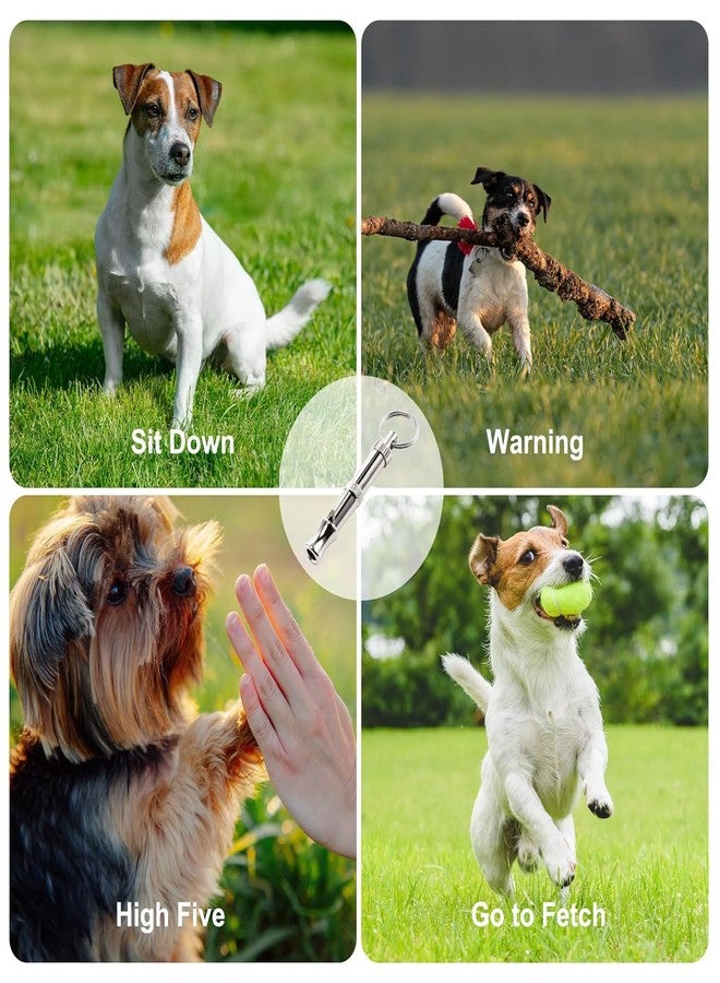 PET FUN صافرة تدريب الكلاب بالموجات فوق الصوتية قابلة للتعديل من بيت فن | تردد قابل للتعديل لأداة تدريب فعالة على الطاعة والسلوك للحيوانات الأليفة (عبوة من قطعة واحدة) - Image 4